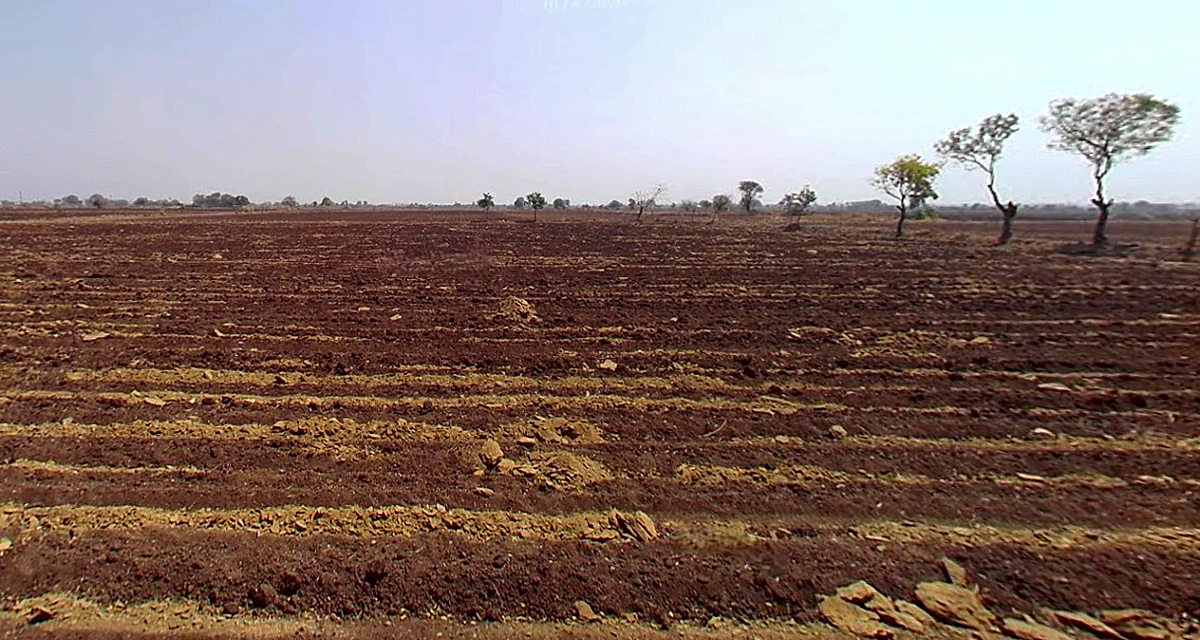 Agricultural Land in Jotana/ranipura, Mehsana