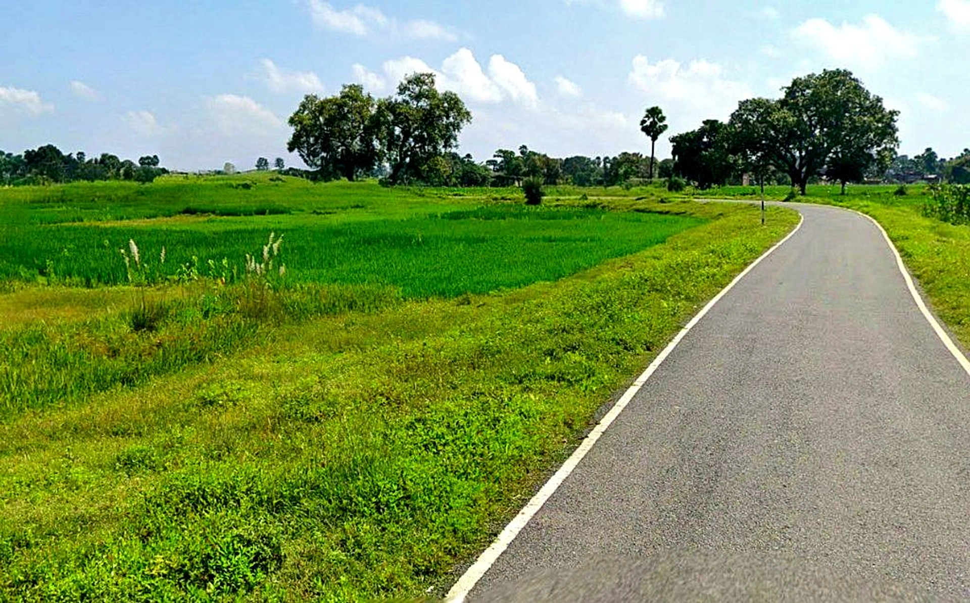 Rasni, Chhattisgarh 493441, India