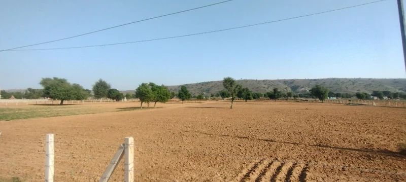 Kerwawal, Rajasthan, India