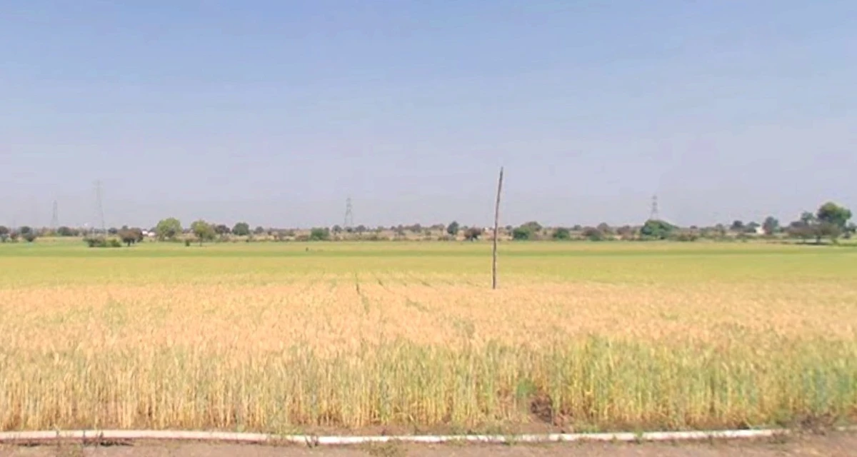 Sulgaon, Madhya Pradesh 450551, India