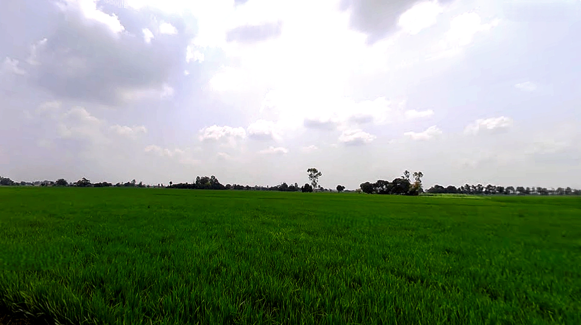 Bhadson Rd, Ranjit Nagar, Patiala, Punjab, India