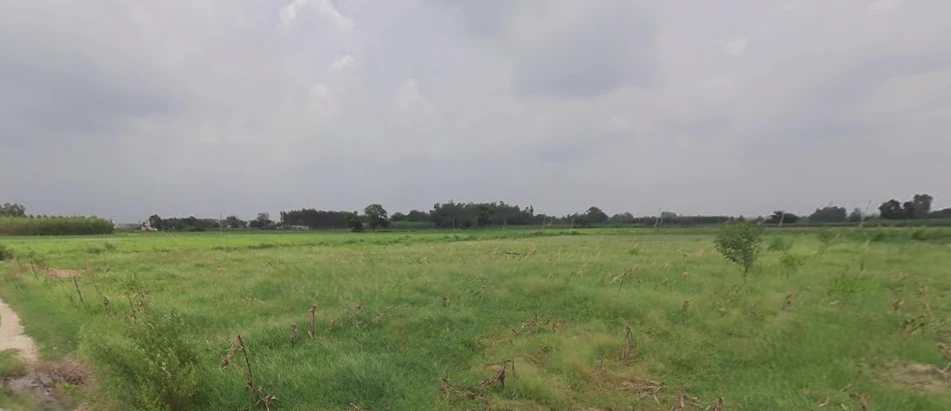 Mansa, Punjab 151505, India