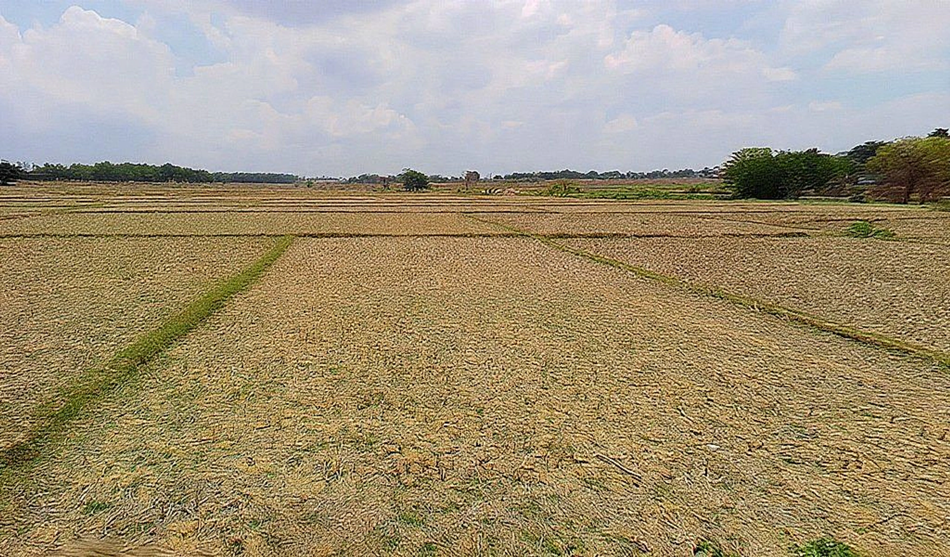 Tumbaguttu, Jharkhand 834010, India