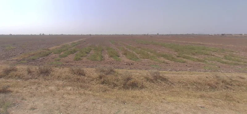 Agricultural Land in Savarkundla/kajrala, Amreli