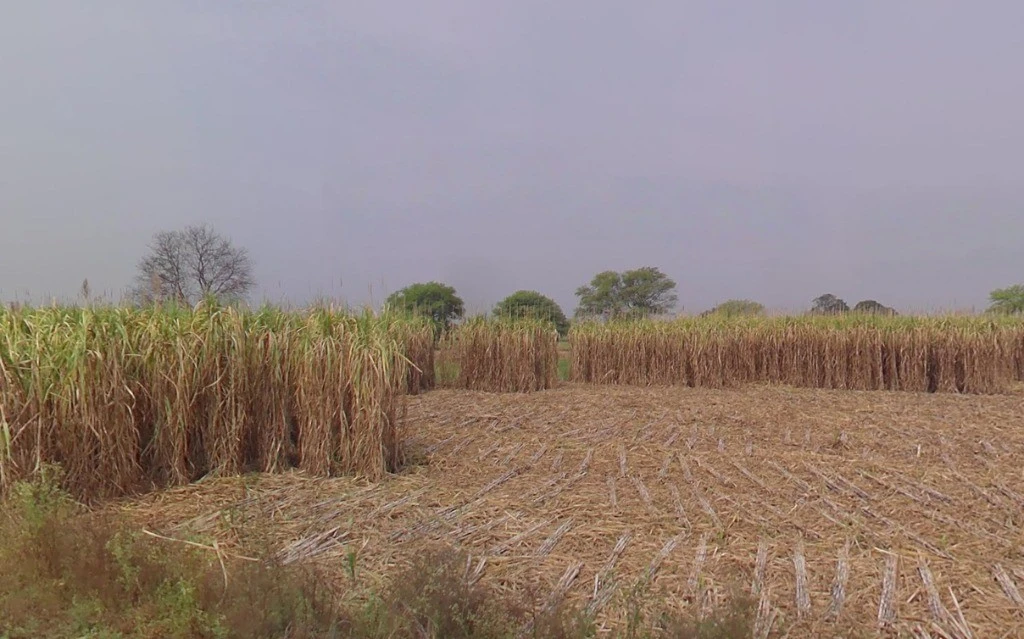 Binouri, Chhattisgarh 493228, India