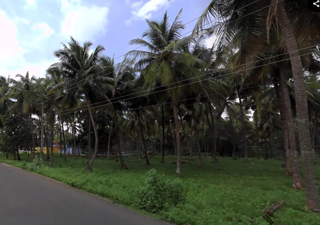 203, Palakkad - Koduvayur - Meenakshipuram Hwy, Meenakshipuram, Tamil Nadu 642103, India