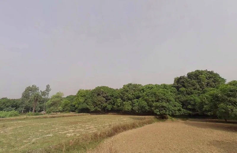 Malihabad, Uttar Pradesh 226102, India preview 2