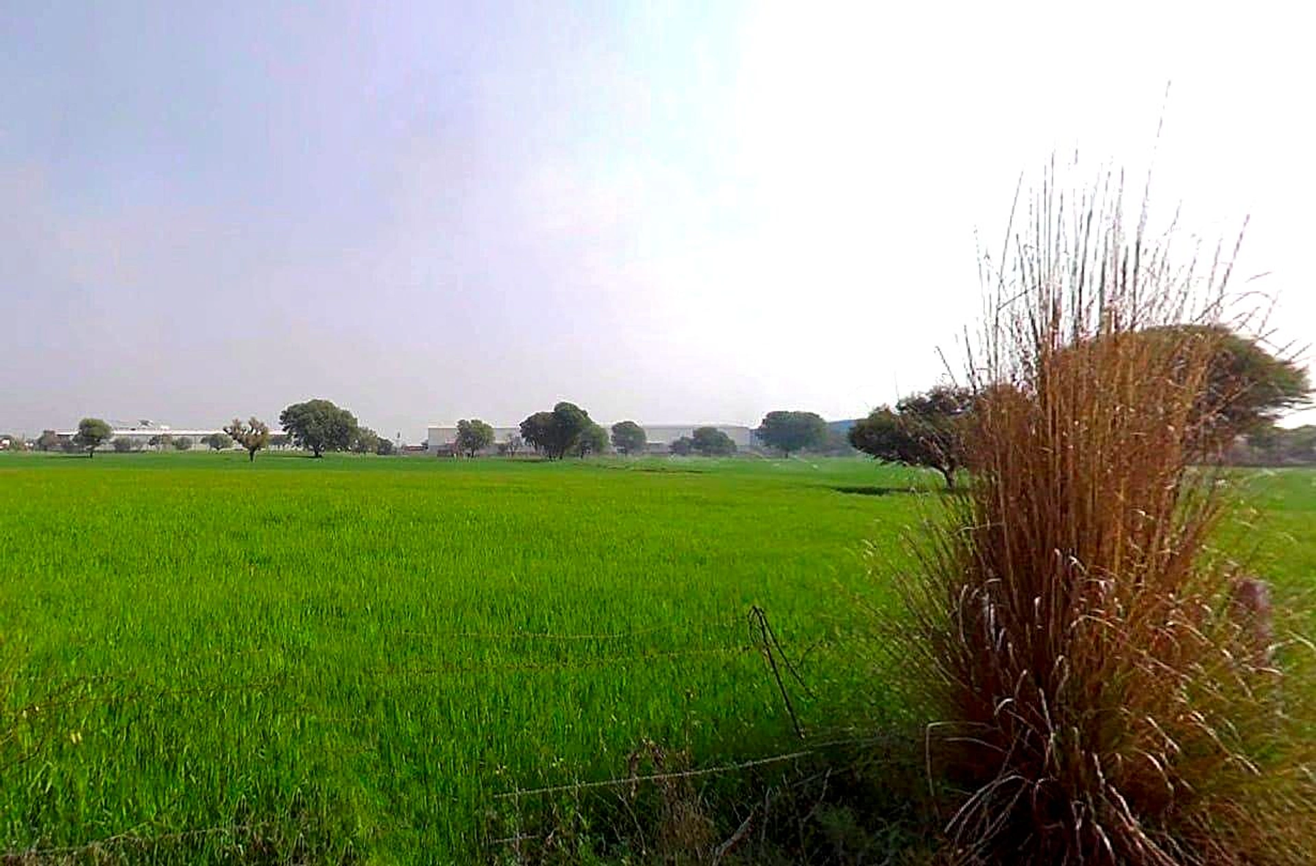 3PRR+46W, Tantiyawas, Rampura Dabri, Rajasthan 303704, India