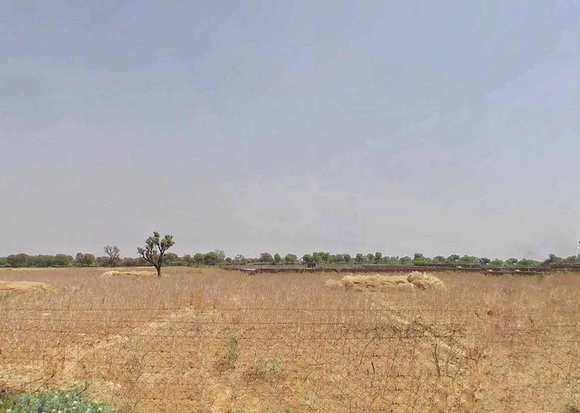 QW5G+RX Ralawata, Rajasthan, India