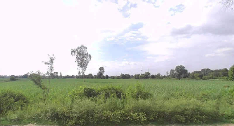Lakhimpur, Uttar Pradesh 262701, India preview 2