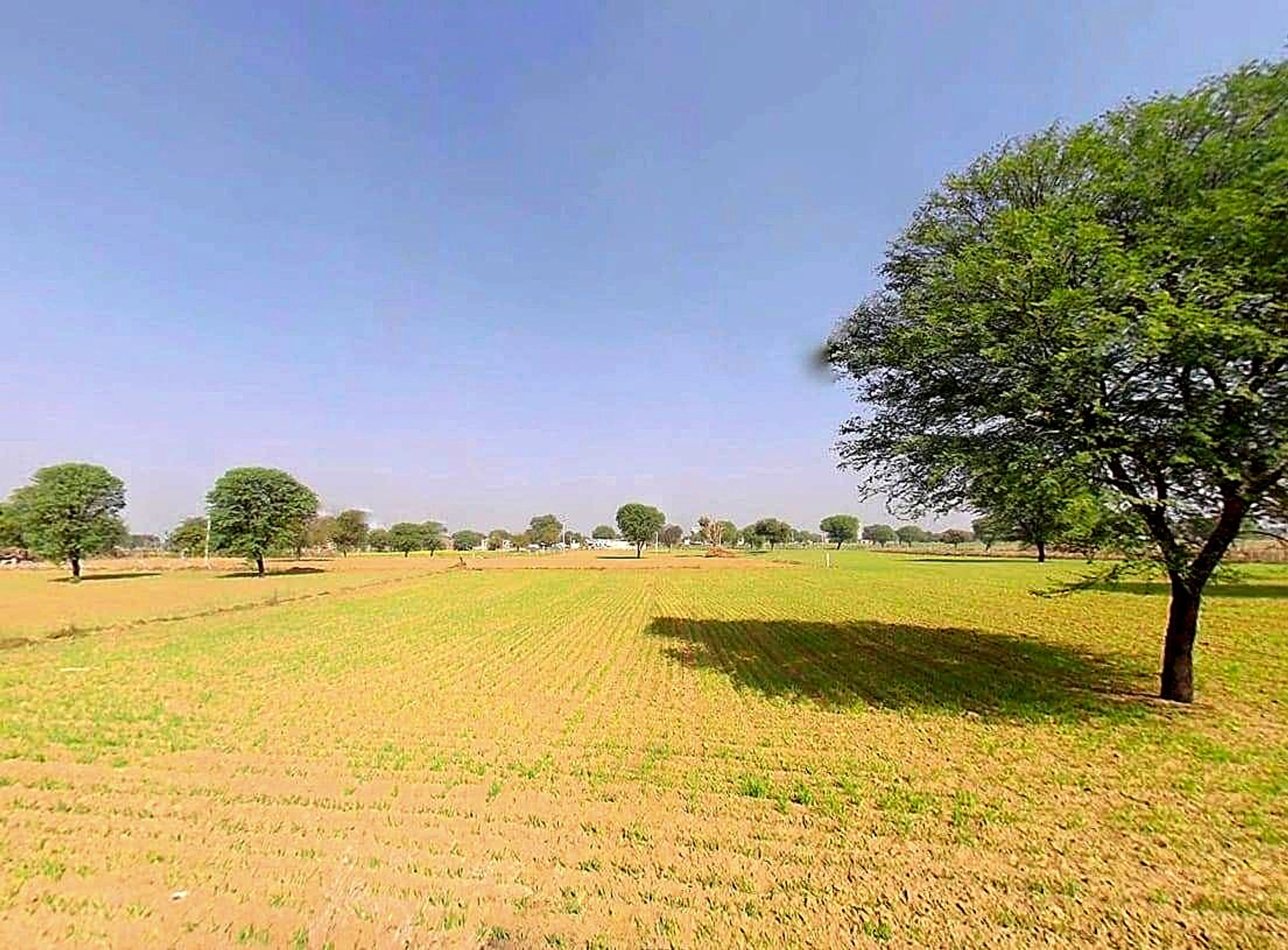 6MJ6+JFF, Balekhan, Rajasthan 303712, India