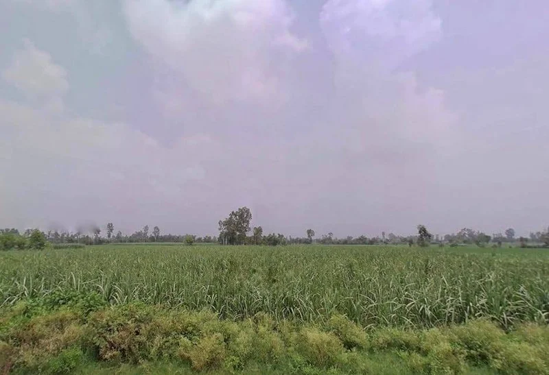 FWX8+PP Suhas, Uttar Pradesh, India preview 3