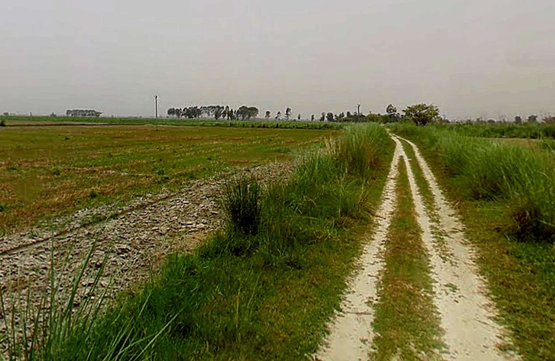 Hastinapur, Uttar Pradesh 250404, India