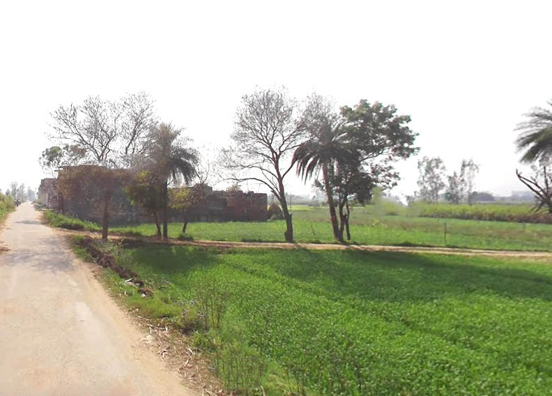 Phalauda, Uttar Pradesh 250401, India