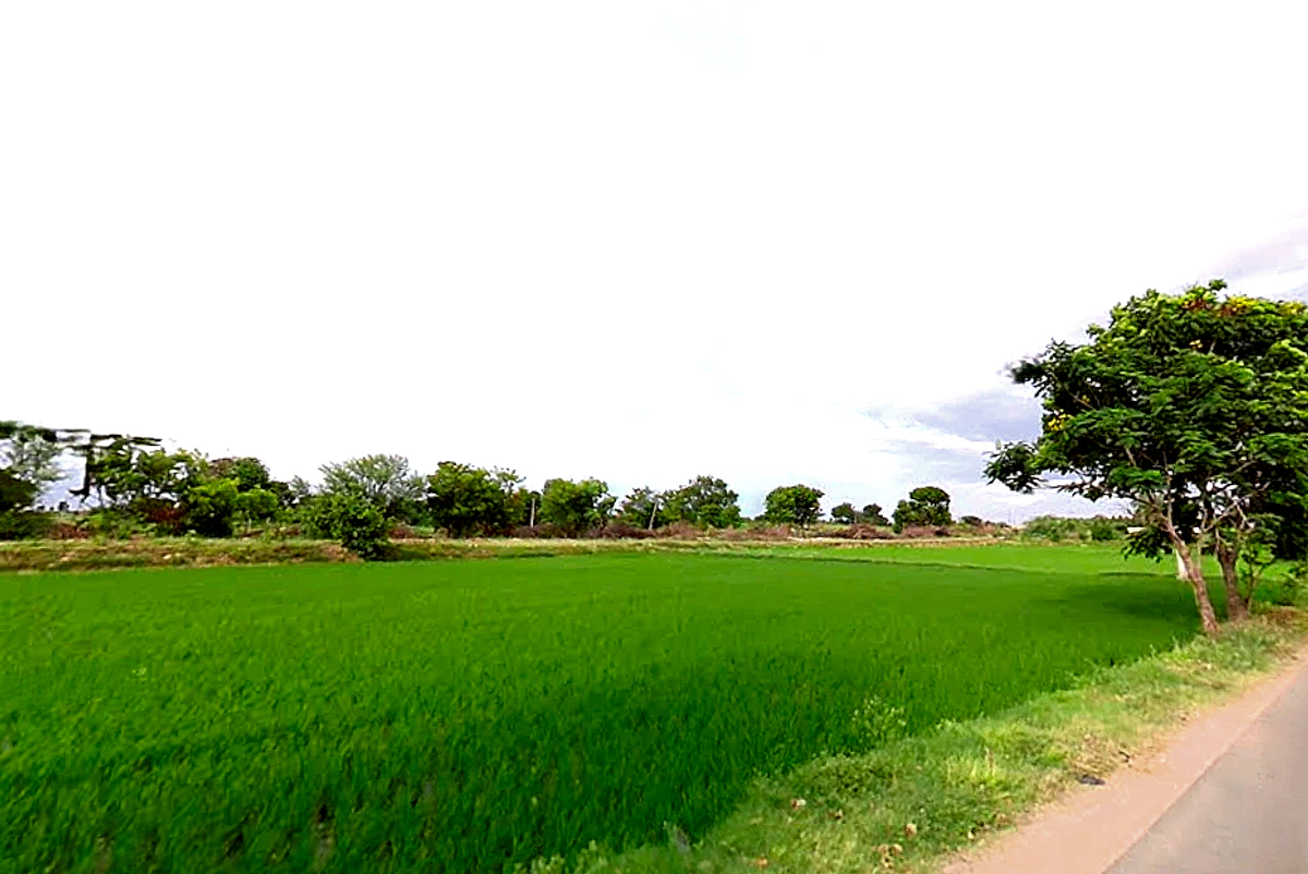 Makthal, Telangana 509208, India