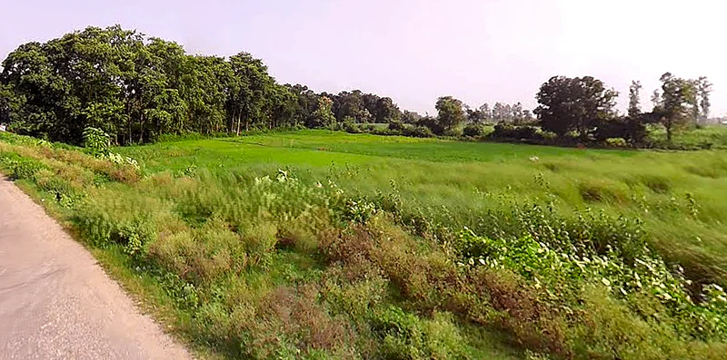 NH 730, Maharaj Nagar, Lakhimpur, Uttar Pradesh, India preview 3