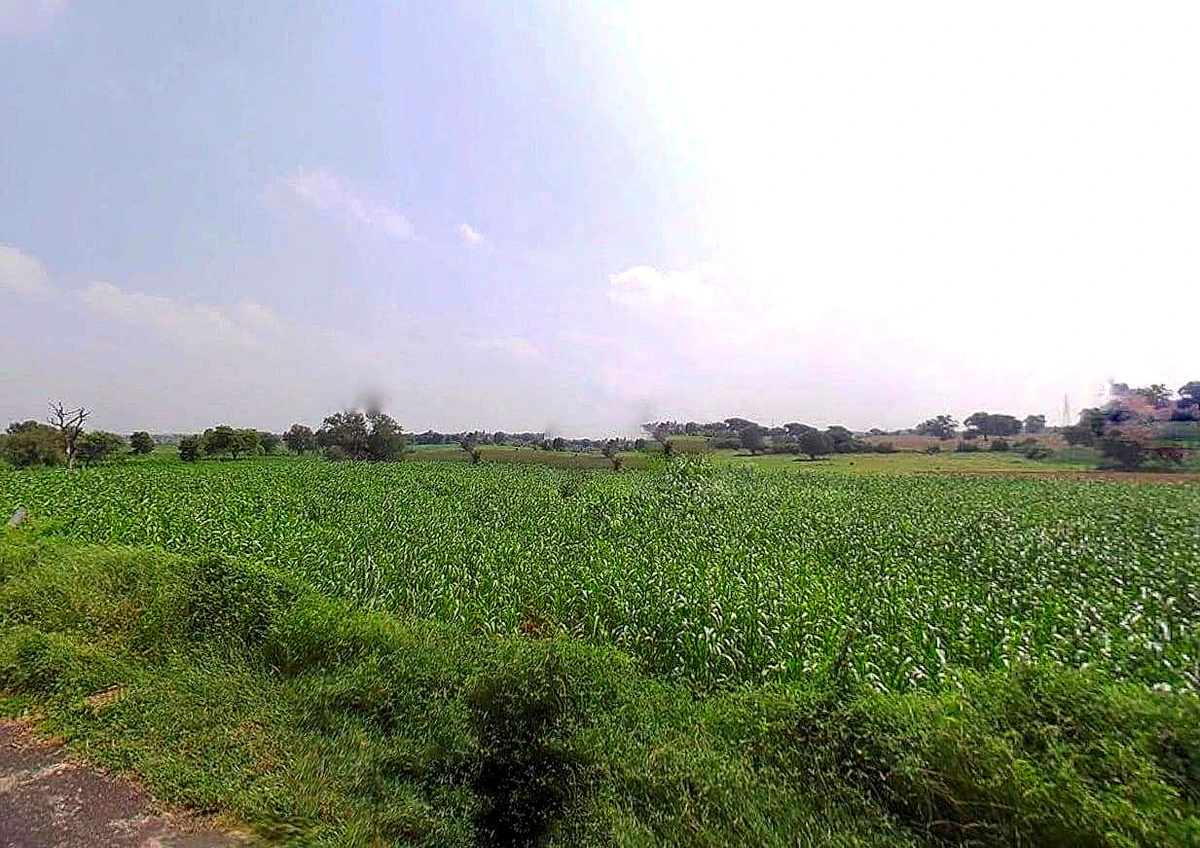 Kundura, Odisha 764002, India