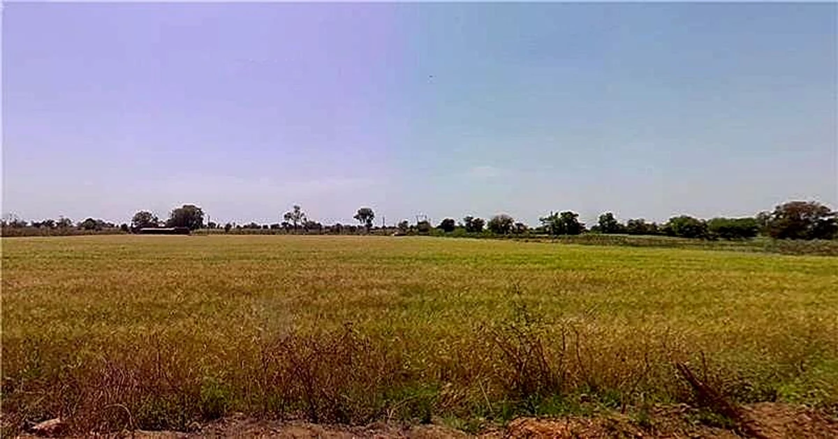 Fojivada, Gujarat, India