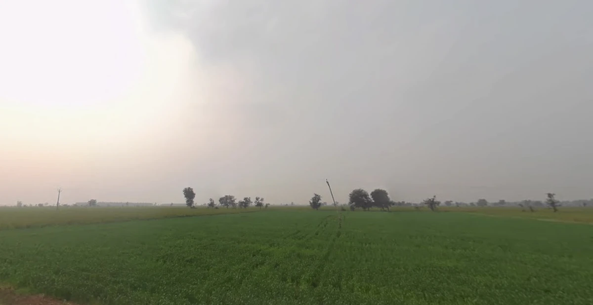 Tranja, Gujarat 387530, India