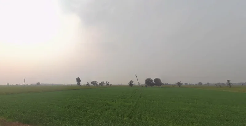 Agricultural Land in Matar/tranja, Kheda