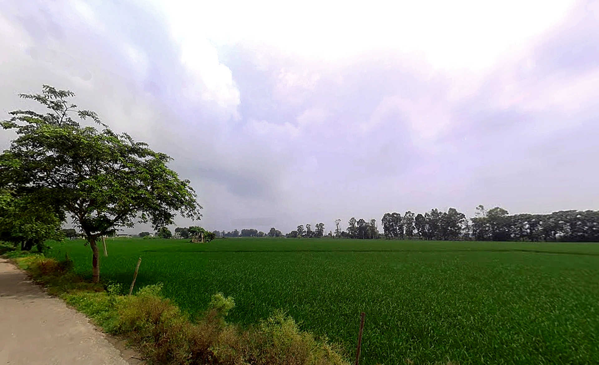 Taraori, Haryana, India