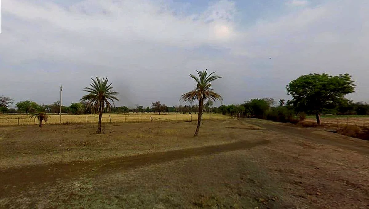 C98X+93P, Richhoda, Madhya Pradesh 465220, India