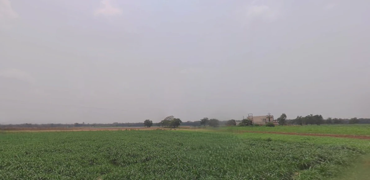 Morinda - Chunni Rd, Bhateri, Punjab, India