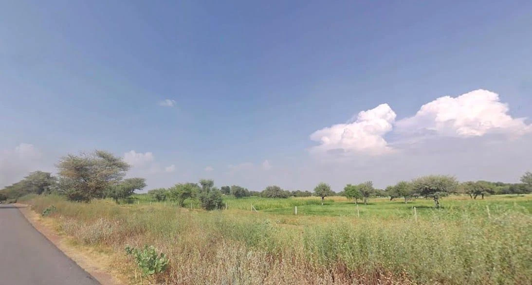 Sithal, Rajasthan 333021, India