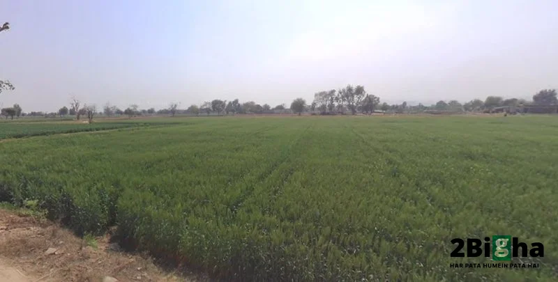 Beas Pind, Punjab, India preview 2