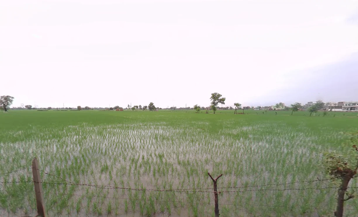 Theh Newal, Haryana 136034, India