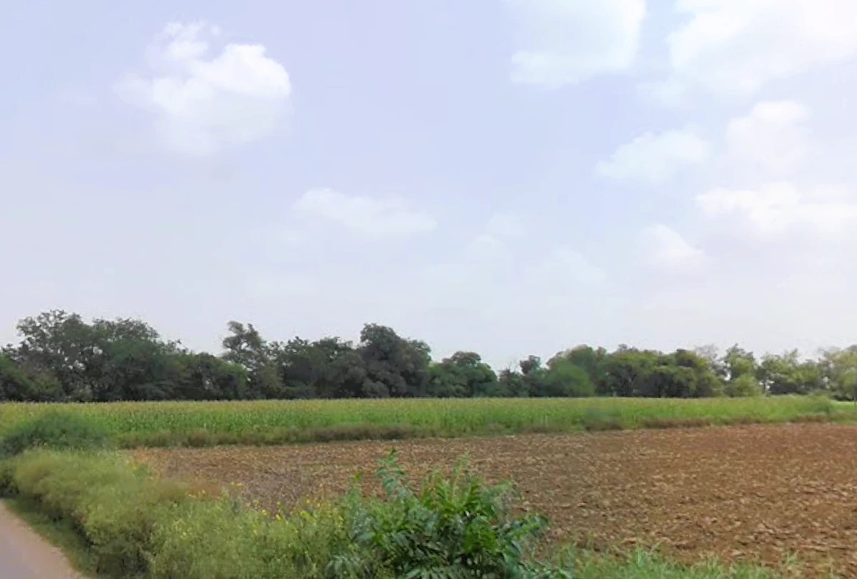 Kheri Bura, Haryana 127306, India