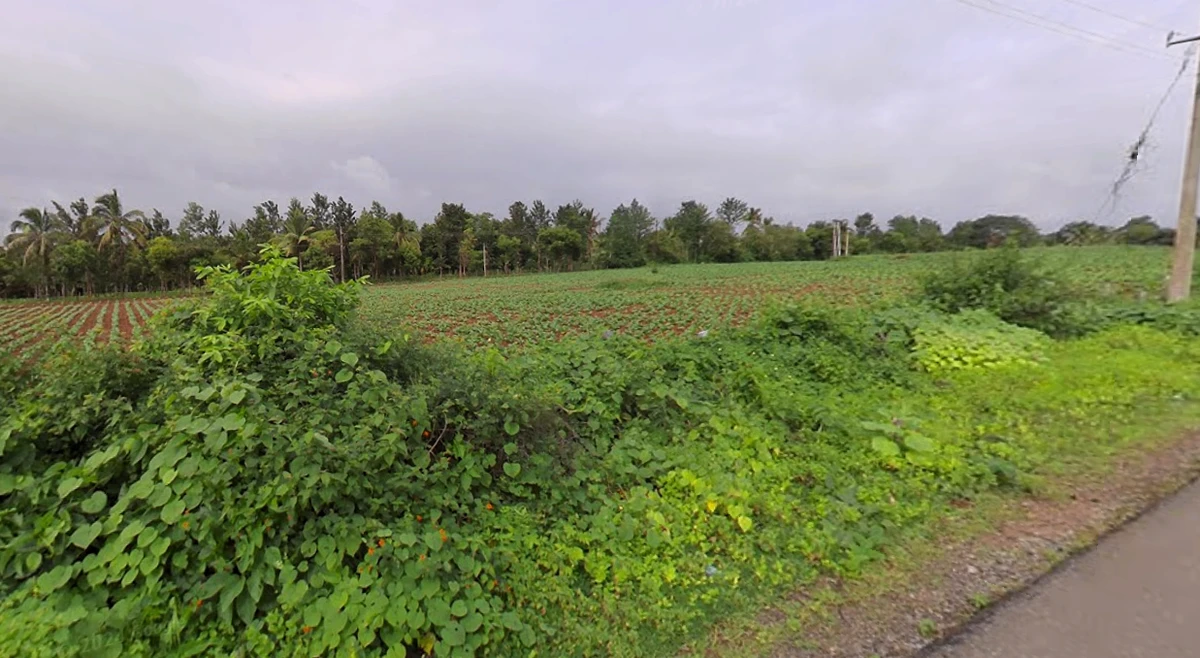 Heggadadevankote, Karnataka 571114, India