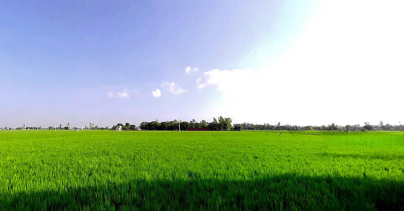 Balbehra, Punjab 147101, India preview 2