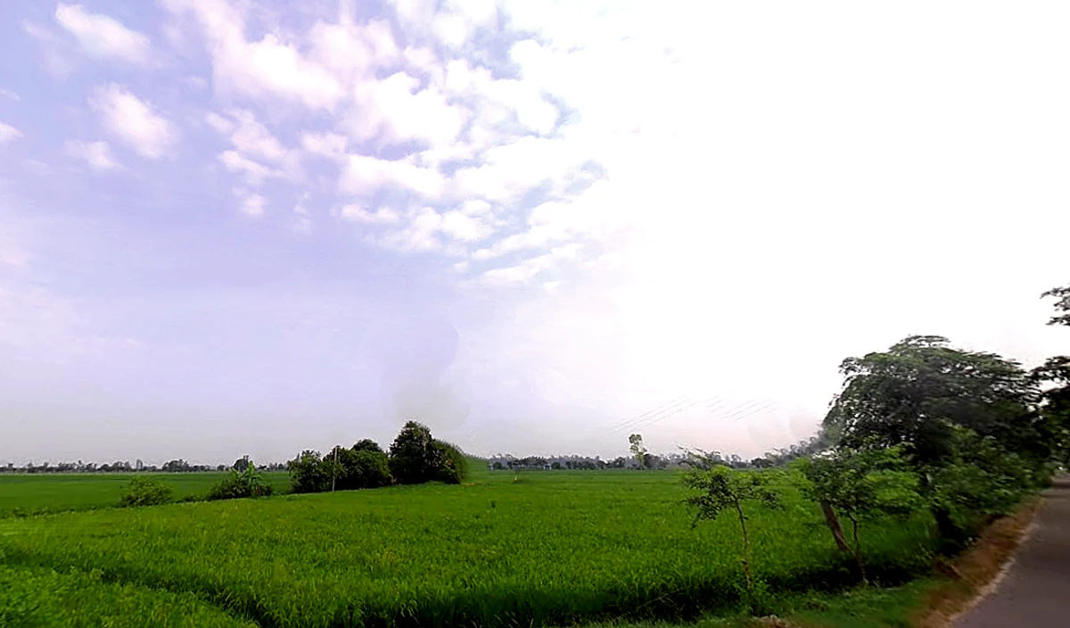 Mohanpur, Haryana 136128, India