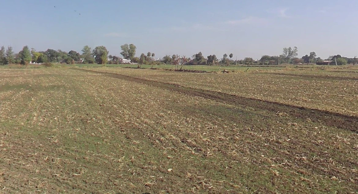 Adampur, Madhya Pradesh, India