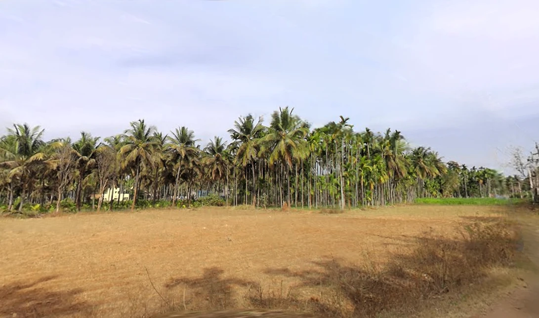 Bellavi, Karnataka 572107, India