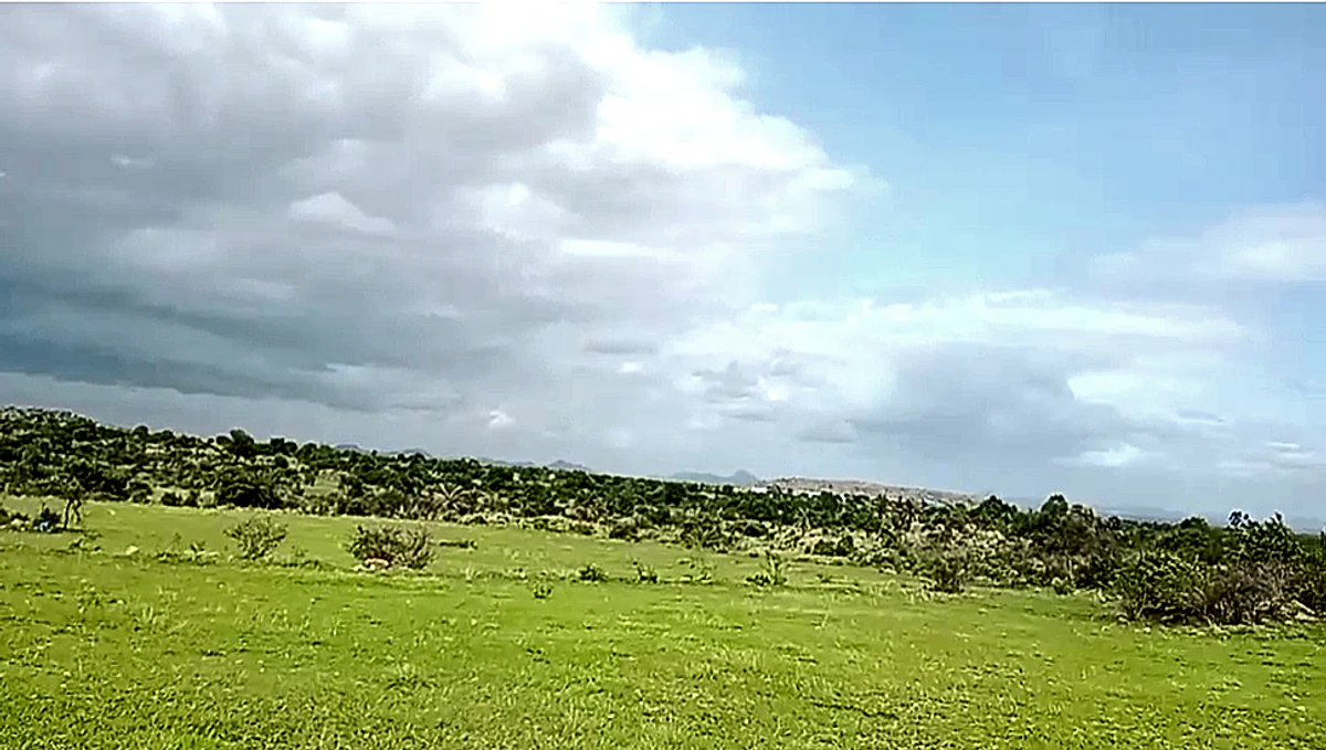 XMPF+QW Palasamudram, Andhra Pradesh, India