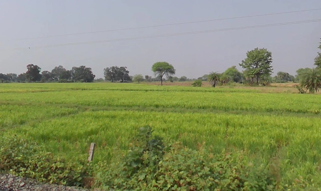 Mandideep, Bhopal, Madhya Pradesh 462046, India