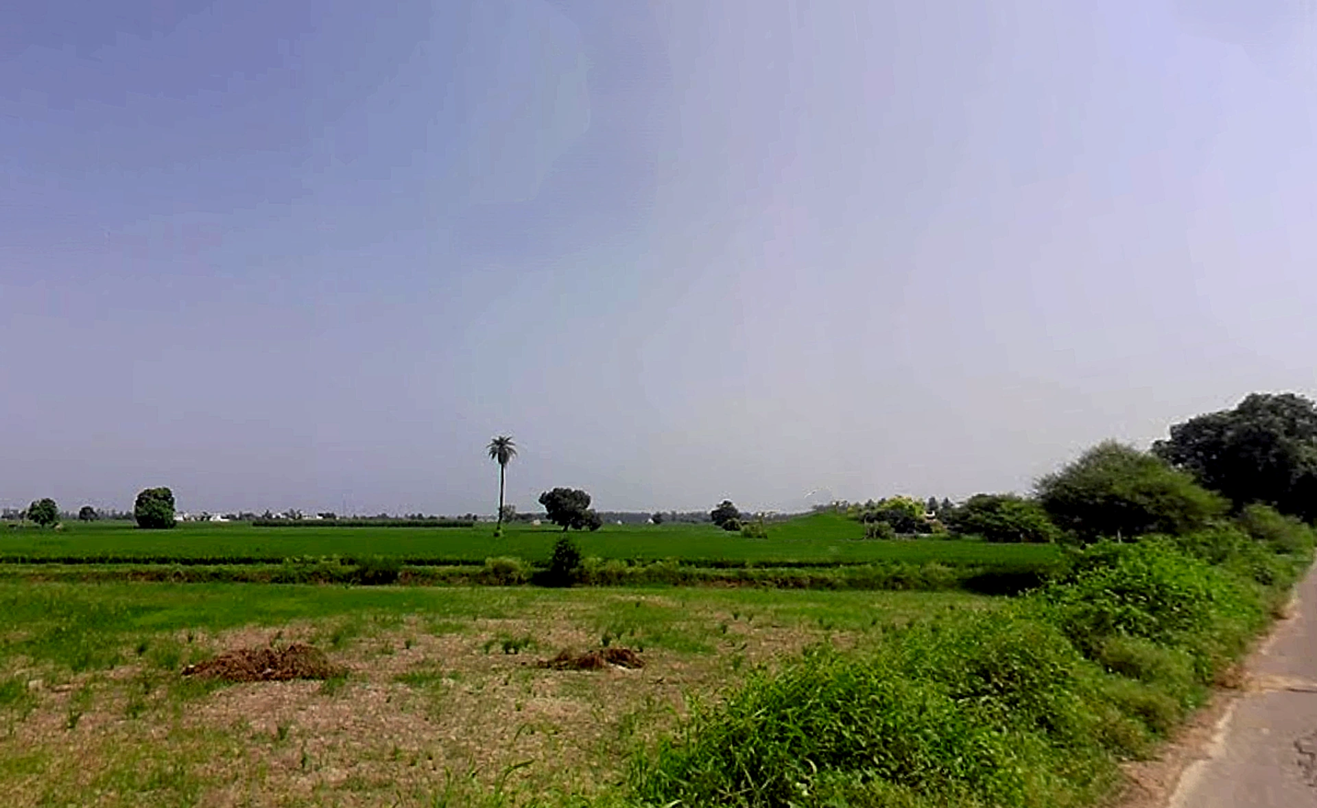 Bhustala, Pipli Majra, Haryana 136130, India
