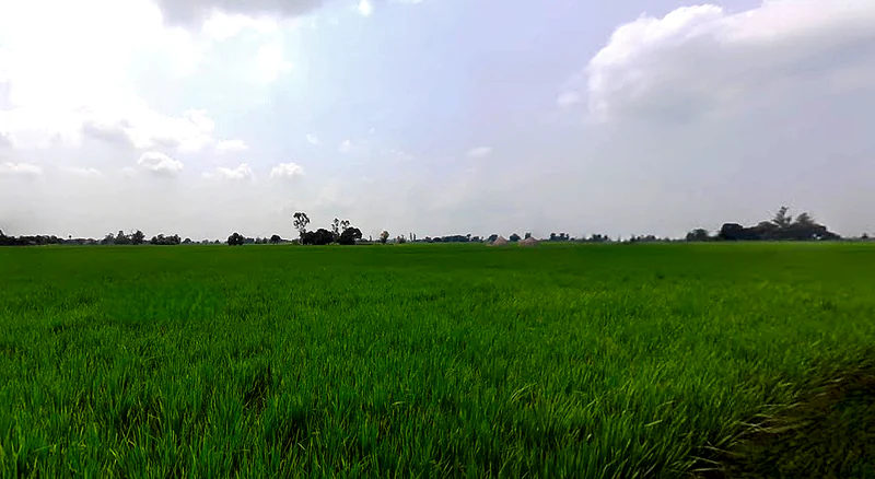 Bhadson Rd, Ranjit Nagar, Patiala, Punjab, India preview 2