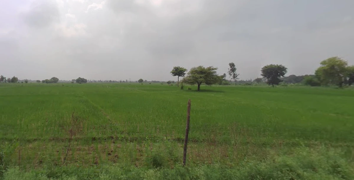 Sundari, Uttar Pradesh 262406, India