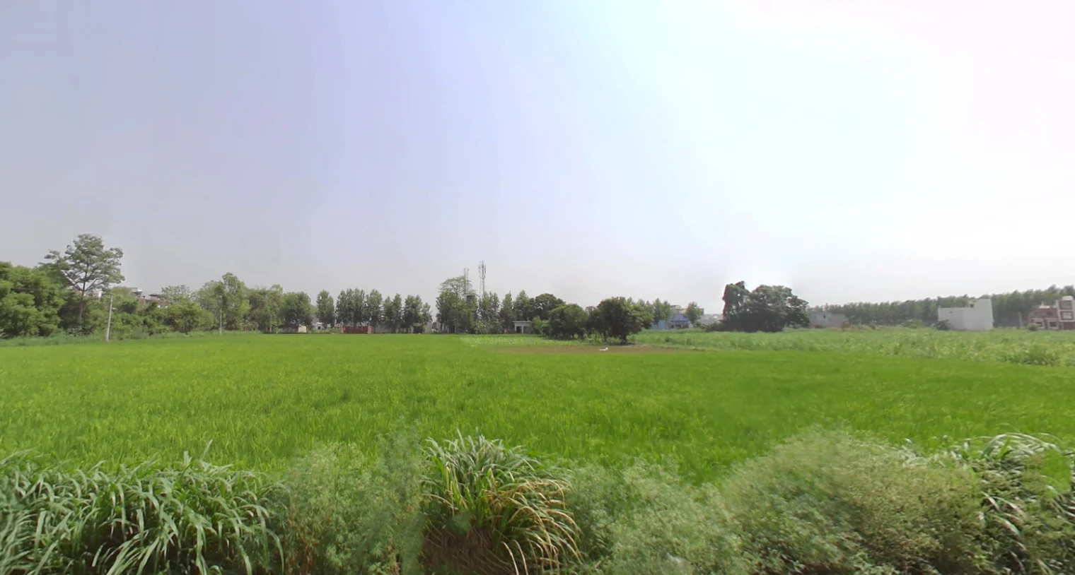 X9Q5+MF, Rudrapur, Uttarakhand 263153, India preview 2