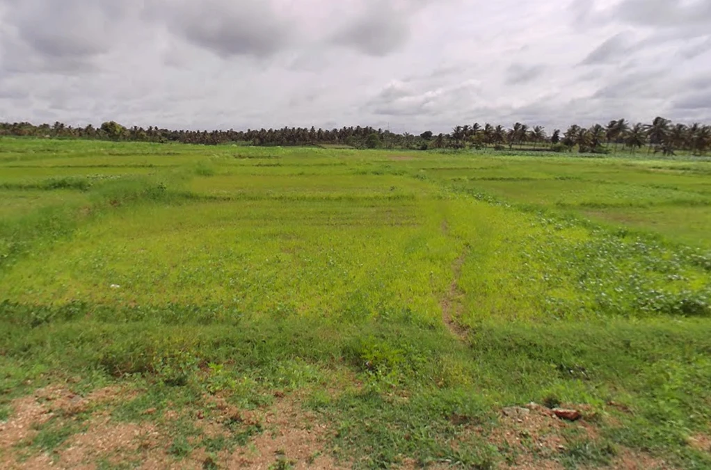 Heggadadevankote, Karnataka 571114, India