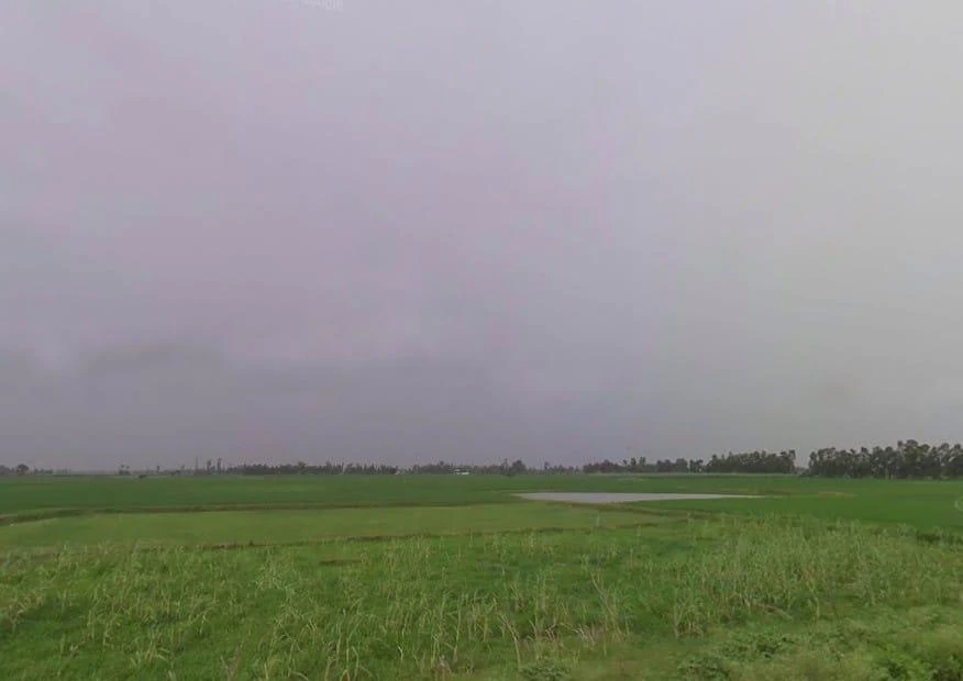 Navdiya, Uttar Pradesh 242042, India