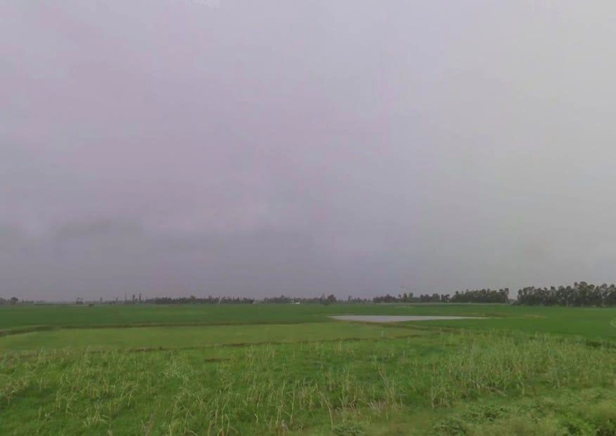 Navdiya, Uttar Pradesh 242042, India