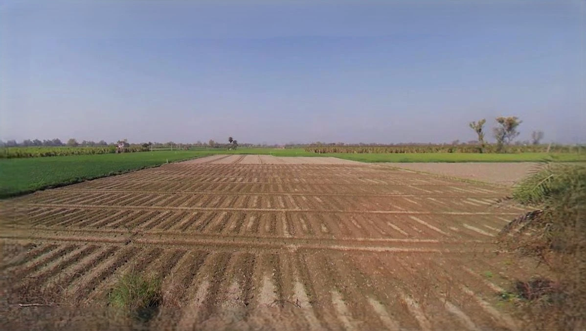 Agricultural Land in Raibareli /, Raebareli