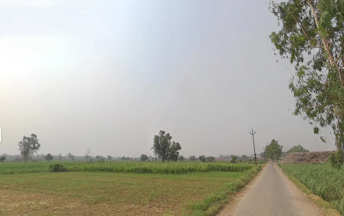 Raiwala, Uttarakhand 249205, India