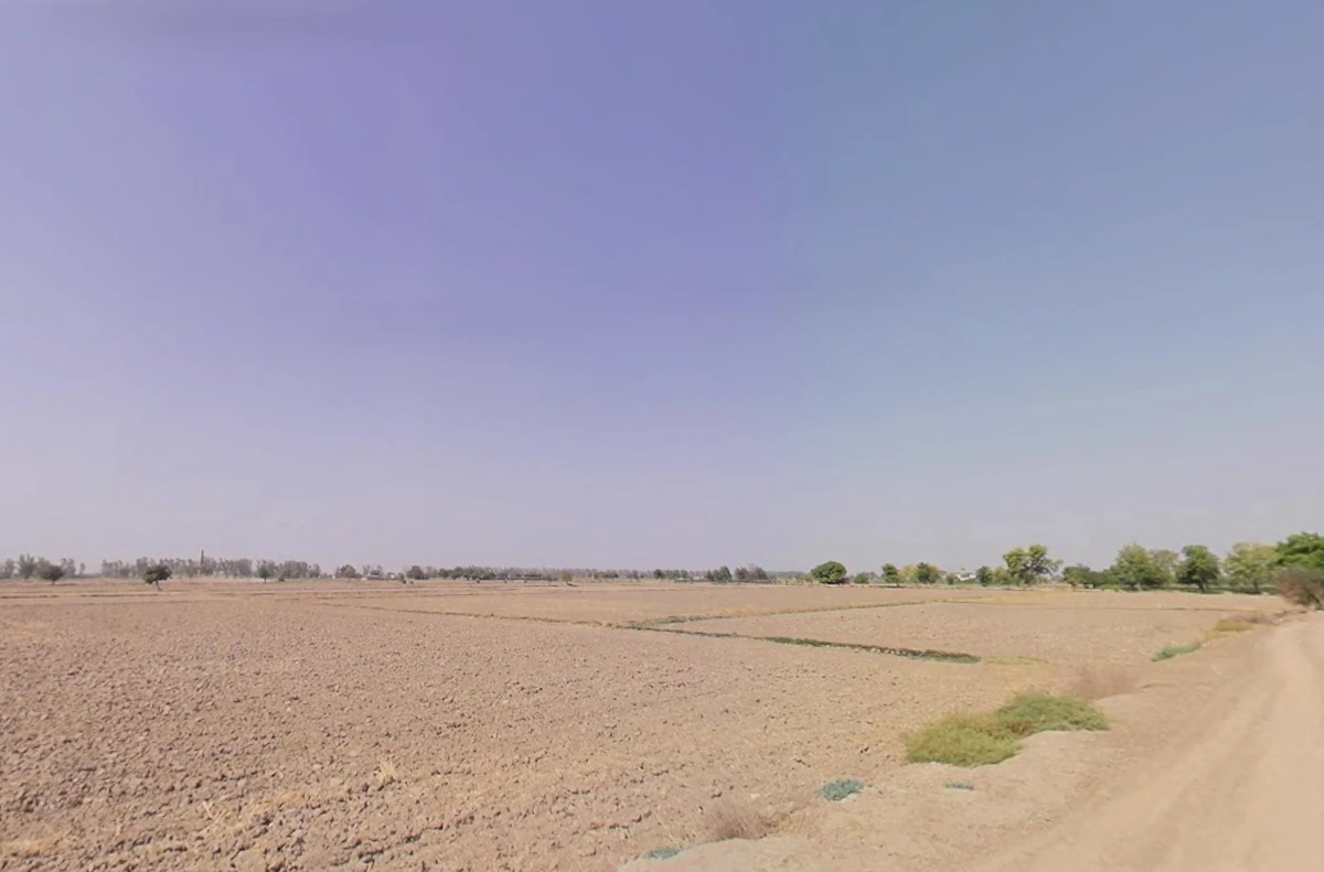 Bass, Haryana 125042, India