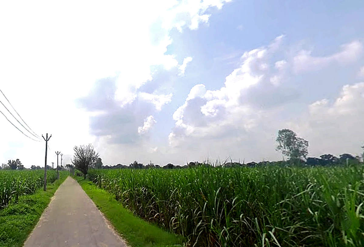 Saidpur, Uttar Pradesh 203411, India