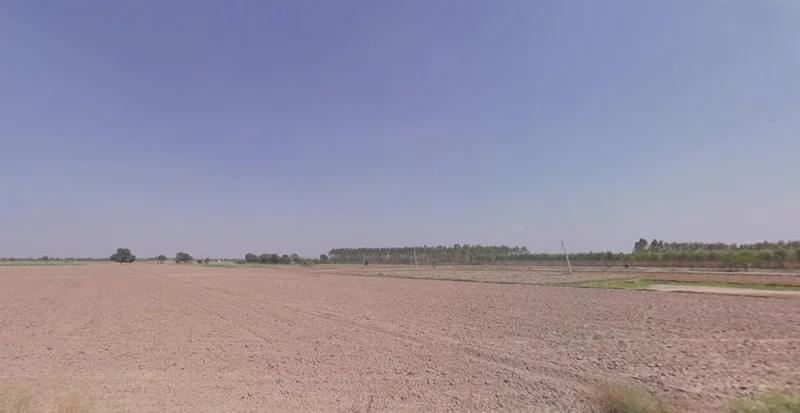 Ferozepur Rd, Sarabha Nagar, Ludhiana, Punjab, India preview 3